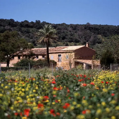 Отель Finca Es Mayolet фото 3