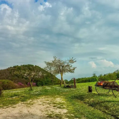 Отель Terre Rosse Farmhouse Италия, Региональный парк Colli Euganei - отзывы, цены и фото номеров - забронировать отель Terre Rosse Farmhouse онлайн фото 6