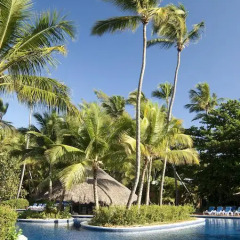 Отель Barcelo Dominican Beach All Inclusive Доминикана, Пунта Кана - отзывы, цены и фото номеров - забронировать отель Barcelo Dominican Beach All Inclusive онлайн бассейн