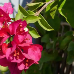 Отель Riad Badi Марокко, Марракеш - отзывы, цены и фото номеров - забронировать отель Riad Badi онлайн