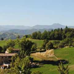 Отель Agriturismo Petrarosa Невьяно-дельи-Ардуини фото 5