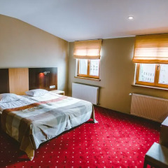 Hanza hotel 4* Стандартный номер фото 2