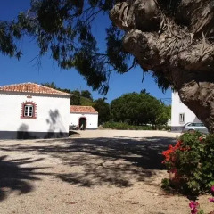 Отель House in a Farm 2km from the Ericeira Beach фото 3