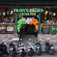 Отель Paddys Palms Resort городской автобус