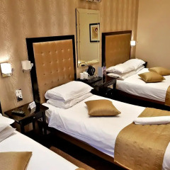 Duke of Leinster Hotel 3* Стандартный семейный номер с двуспальной кроватью фото 3