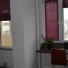 Отель Apartament Orchidea комната для гостей фото 2
