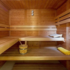 Отель Theoxenia Residence сауна