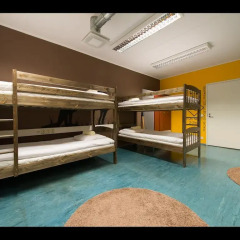 United Backpackers Hostel Кровать в общем номере
