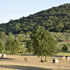 Отель Masseria Mazzalorsa Альберобелло пляж фото 2