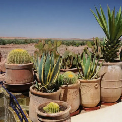 Отель Kasbah Dar Daif Марокко, Уарзазат - отзывы, цены и фото номеров - забронировать отель Kasbah Dar Daif онлайн фото 6