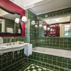 Hotel Regency 5* Полулюкс с двуспальной кроватью фото 13