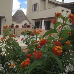Отель B&B Delle Rondini Альберобелло фото 8