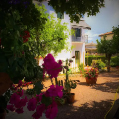 Отель Bed & Breakfast Don Carlos Италия, Сан-Мартино-ди-Лупари - отзывы, цены и фото номеров - забронировать отель Bed & Breakfast Don Carlos онлайн фото 4