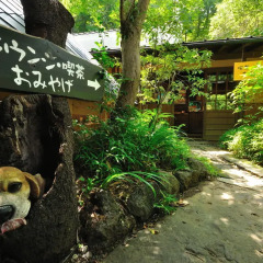 Отель Yamabiko Ryokan Минамиогуни приотельная территория
