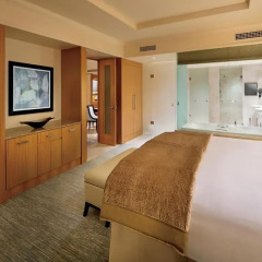Отель The Ritz-Carlton, Dubai International Financial Centre 5* Президентский люкс с различными типами кроватей фото 2