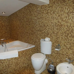 Гостиница Дона 3* Номер Делюкс с разными типами кроватей фото 5