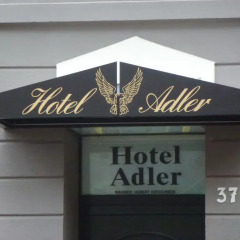 Hotel Adler развлечения