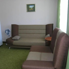 Hotel Centralnaya комната для гостей фото 2