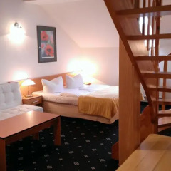 Hotel Máchova 3* Люкс с различными типами кроватей фото 4