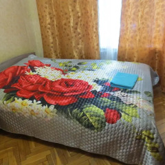 Апартаменты Apartment na Perovo Москва в номере