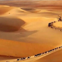 Отель Bivouac Morocco Safari Tours Марокко, Мерзуга - отзывы, цены и фото номеров - забронировать отель Bivouac Morocco Safari Tours онлайн бассейн