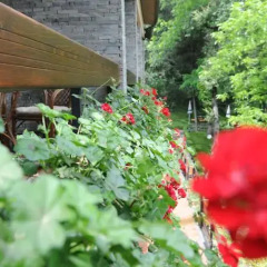 Отель Restaurant Dreri Албания, Тирана - отзывы, цены и фото номеров - забронировать отель Restaurant Dreri онлайн фото 14