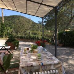 Отель Agriturismo Le Catre Кастаньето-Кардуччи фото 4