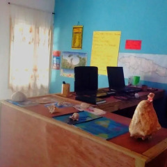 IRIE Vibez hostel Порт Антонио интерьер отеля