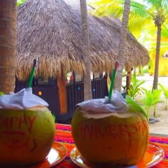 Отель Bungalows Tree Tops 5* Вилла с различными типами кроватей фото 23