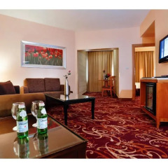 Geneva Hotel Amman комната для гостей фото 3