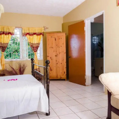 Отель Ackee Tree Sea View Villa комната для гостей фото 5