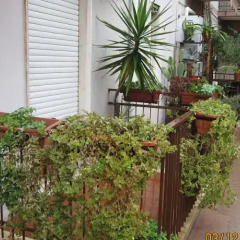 Отель Residence Messina Сиракуза фото 2