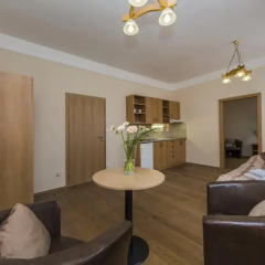 Отель Aparthotel Lublanka 3* Стандартный номер с различными типами кроватей фото 7