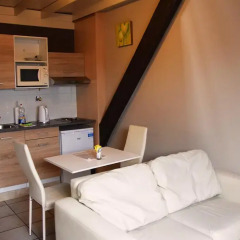 Отель Condo Gardens Antwerpen Студия с различными типами кроватей