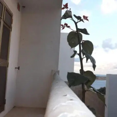 Апартаменты Saint Christopher Apartment спортивное сооружение