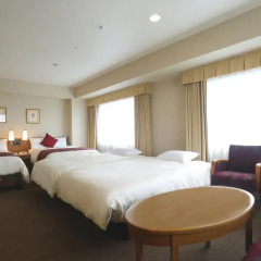 Daiichi Hotel Ryogoku 3* Стандартный номер с двуспальной кроватью фото 10