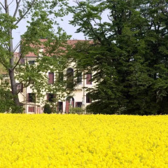 Отель Agriturismo Villa Selvatico Италия, Вигонца - отзывы, цены и фото номеров - забронировать отель Agriturismo Villa Selvatico онлайн фото 5