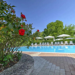Отель Flaminio Village Bungalow Park Италия, Рим - 3 отзыва об отеле, цены и фото номеров - забронировать отель Flaminio Village Bungalow Park онлайн бассейн