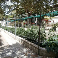 Отель Olive House Ситония детские мероприятия