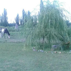 Отель Cabañas Al Fin Del Arcoiris Сан-Рафаэль приотельная территория