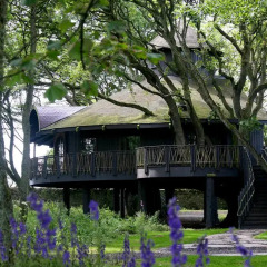 Отель Ackergill Tower 5* Апартаменты с различными типами кроватей фото 2