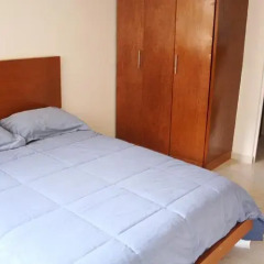 Отель Suites del Carmen - Wisconsin Мексика, Мехико - отзывы, цены и фото номеров - забронировать отель Suites del Carmen - Wisconsin онлайн комната для гостей фото 2