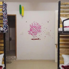 Panda's House Hostel Кровать в общем номере фото 6
