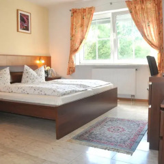 Hotel Mühleinsel 3* Стандартный номер с различными типами кроватей фото 12