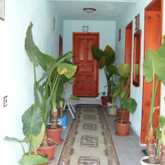 Отель Guest House Rimski Most интерьер отеля