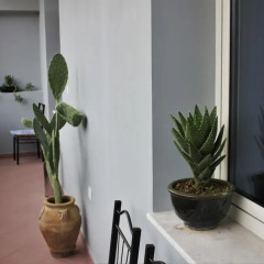Отель Dena Guesthouse & Art Албания, Берат - отзывы, цены и фото номеров - забронировать отель Dena Guesthouse & Art онлайн балкон