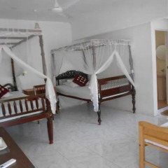 Отель Beach Haven Guest House (Mrs Wijenayake's Guest House) Шри-Ланка, Галле - отзывы, цены и фото номеров - забронировать отель Beach Haven Guest House (Mrs Wijenayake's Guest House) онлайн детские мероприятия