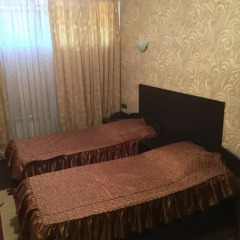 Гостиница Державин 3* Номер Эконом разные типы кроватей фото 5