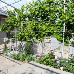 Отель Гостевой Дом Lusya B&B Армения, Ехегнадзор - 1 отзыв об отеле, цены и фото номеров - забронировать отель Гостевой Дом Lusya B&B онлайн фото 6