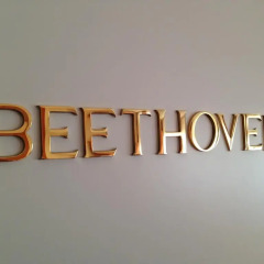 Hotel Beethoven 4* Люкс с различными типами кроватей